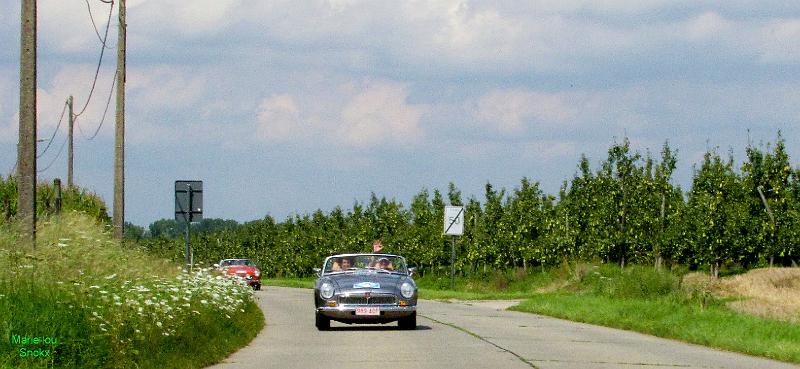 Zutendaal-5de Halfoogst treffen (82).jpg